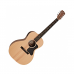 Violão Acústico Gibson G-00 Natural com Bag