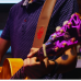 Correia Solez Para Violão Guitarra Baixo Café