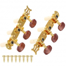 Tarraxa Pino Grosso Dourada Celulóide Marron/Headstock Furo Lateral